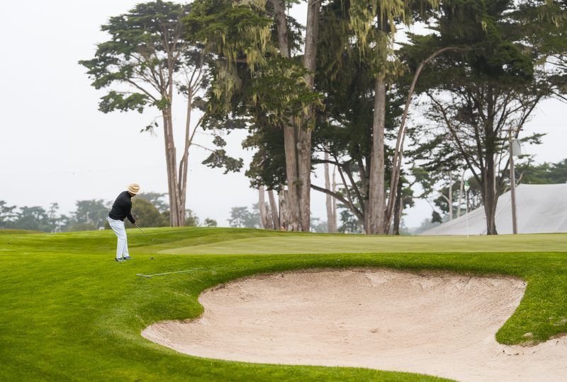 A chip toward the green beneath the cypress at Bayonet